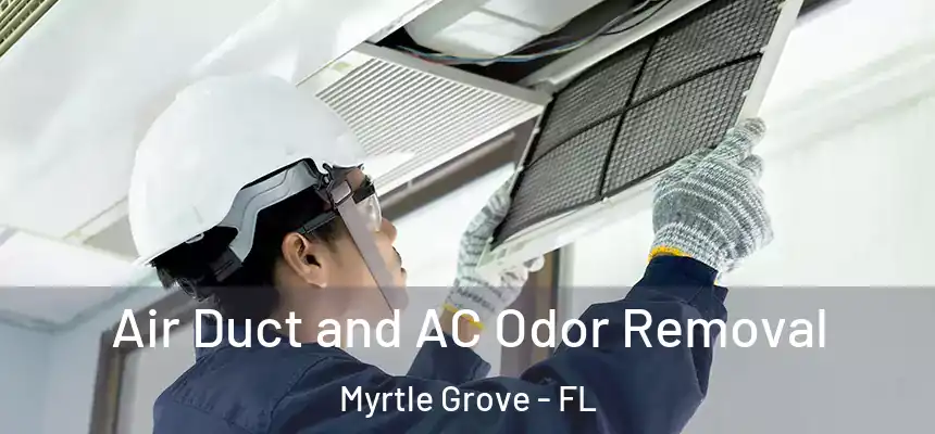  Air Duct and AC Odor Removal Myrtle Grove - FL