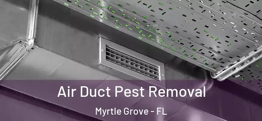  Air Duct Pest Removal Myrtle Grove - FL