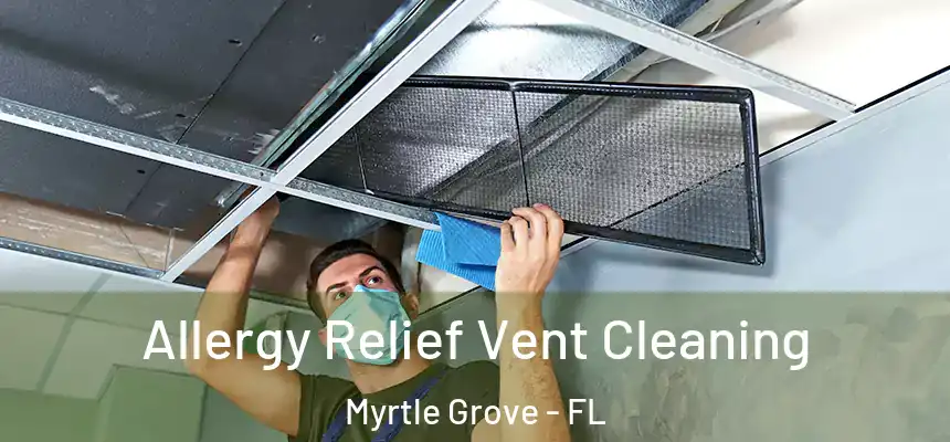 Allergy Relief Vent Cleaning Myrtle Grove - FL