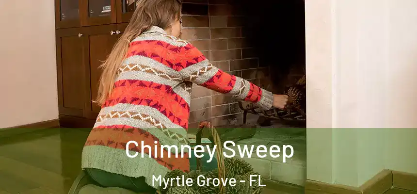  Chimney Sweep Myrtle Grove - FL