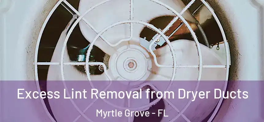  Excess Lint Removal from Dryer Ducts Myrtle Grove - FL