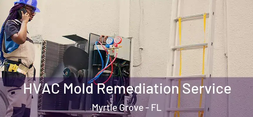  HVAC Mold Remediation Service Myrtle Grove - FL