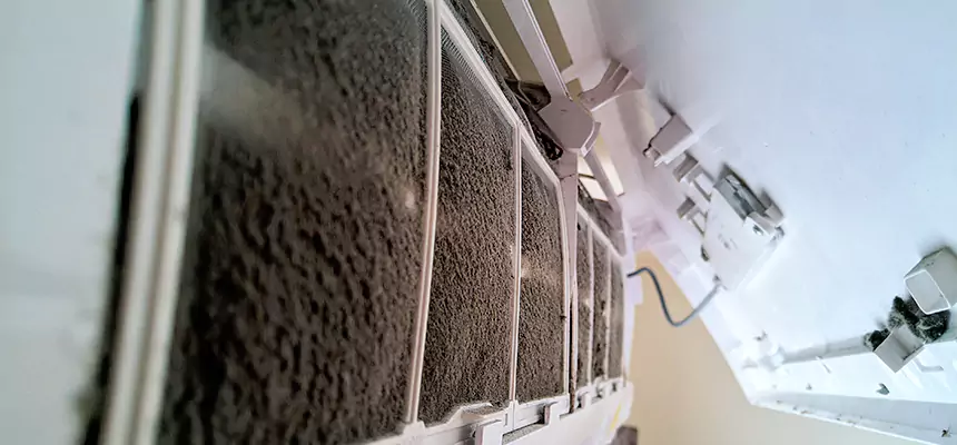 Preventive Air Duct Bacteria Removal in Myrtle Grove