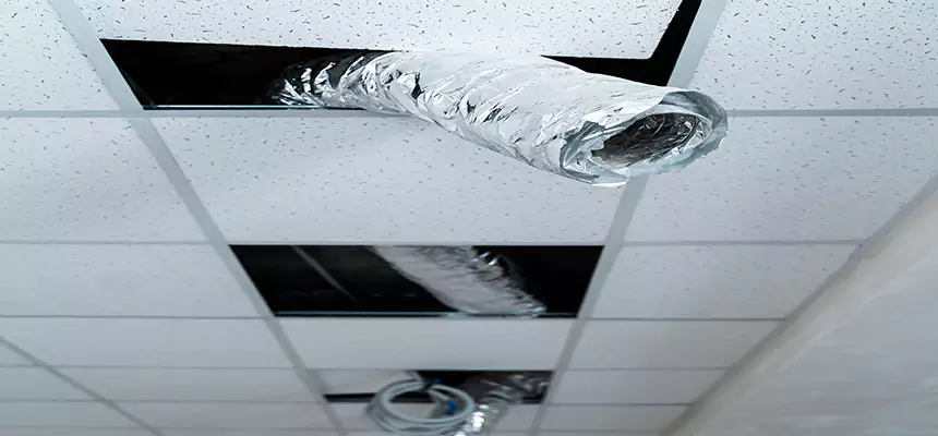 Our Air Duct Pet Hair Removal Services in Myrtle Grove, FL