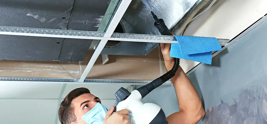 Our Air Duct Rodent Removal Services in Myrtle Grove, FL