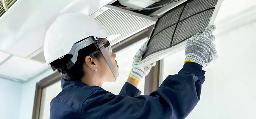 Our Mold & Mildew Removal from Air Ducts Services in Myrtle Grove, FL