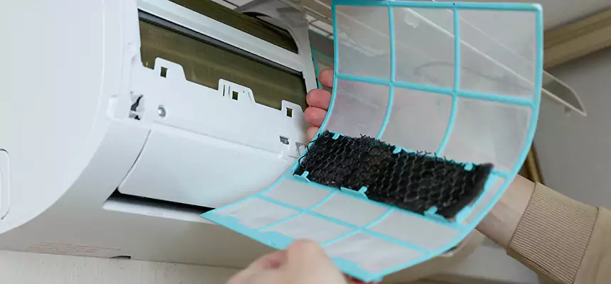 Gentle Ductwork Odor-Control Pet Dander Duct Cleaning in Myrtle Grove, FL