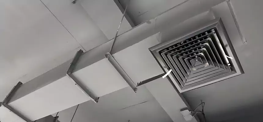 Our Rodent Droppings In Vents Services in Myrtle Grove, FL