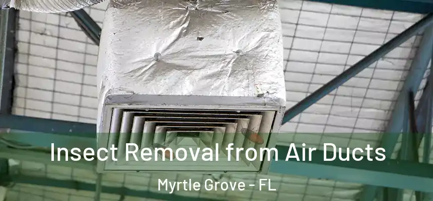 Insect Removal from Air Ducts Myrtle Grove - FL