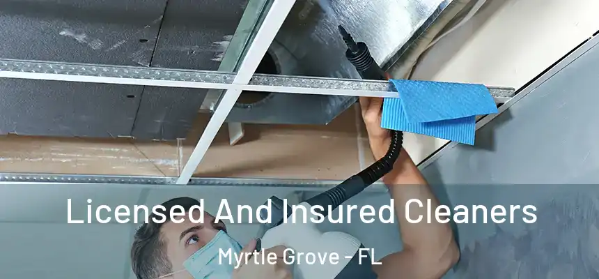  Licensed And Insured Cleaners Myrtle Grove - FL