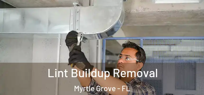 Lint Buildup Removal Myrtle Grove - FL