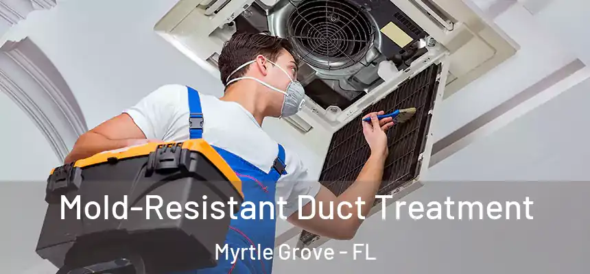  Mold-Resistant Duct Treatment Myrtle Grove - FL