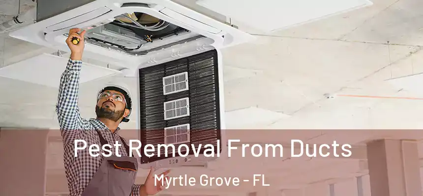 Pest Removal From Ducts Myrtle Grove - FL