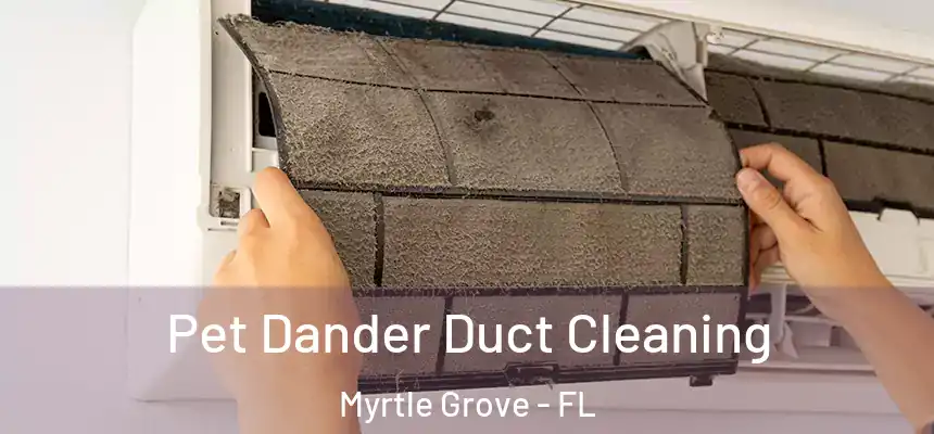 Pet Dander Duct Cleaning Myrtle Grove - FL
