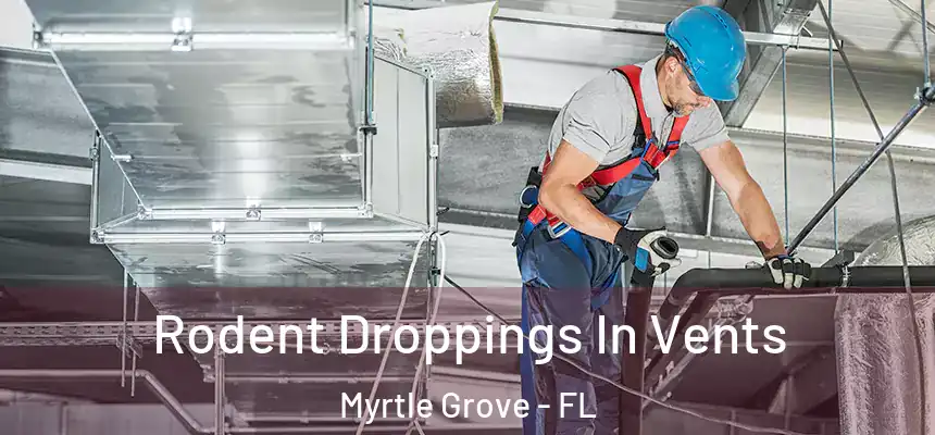  Rodent Droppings In Vents Myrtle Grove - FL