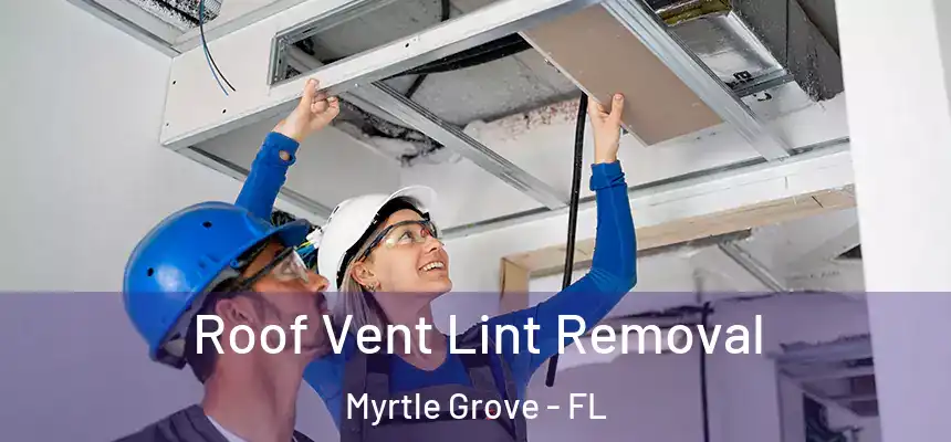  Roof Vent Lint Removal Myrtle Grove - FL
