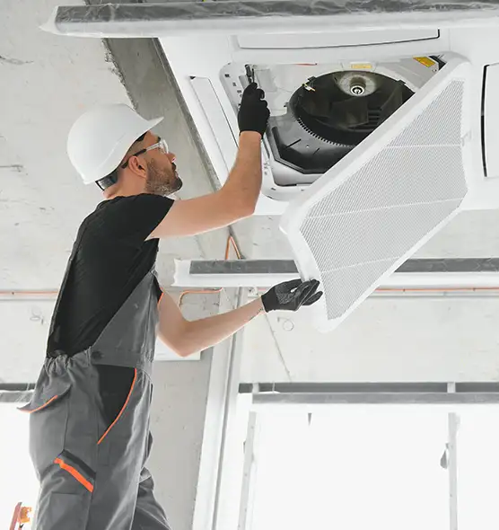 About Air Duct Rodent Removal in Myrtle Grove, FL