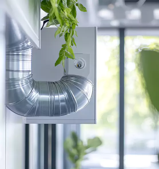 Professional Eco-Safe Dryer Vent Cleaning in Myrtle Grove, FL