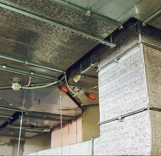 Why Homeowners & Businesses Trust Us in Myrtle Grove, FL?