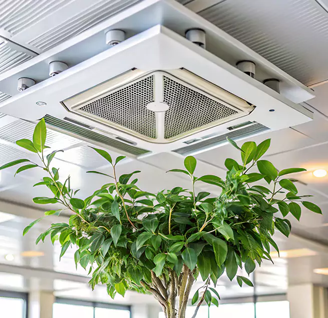 Why Homeowners & Businesses Trust Us in Myrtle Grove, FL?