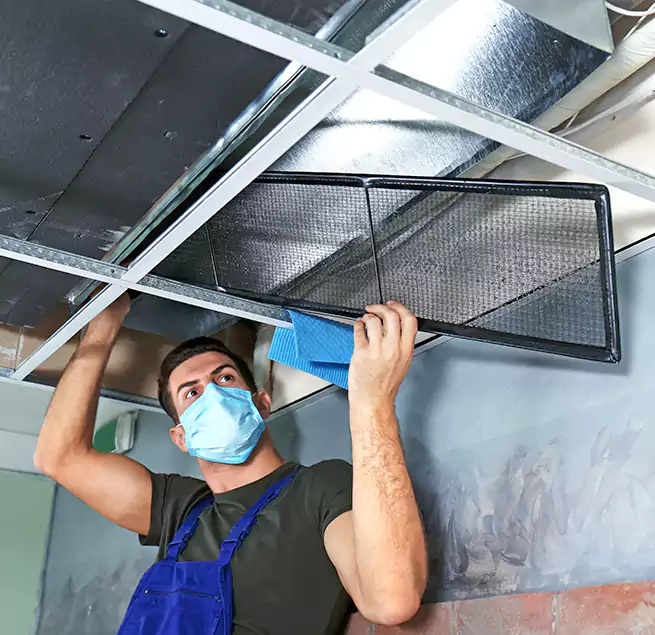 Why Homeowners Businesses Trust Us in Myrtle Grove, FL